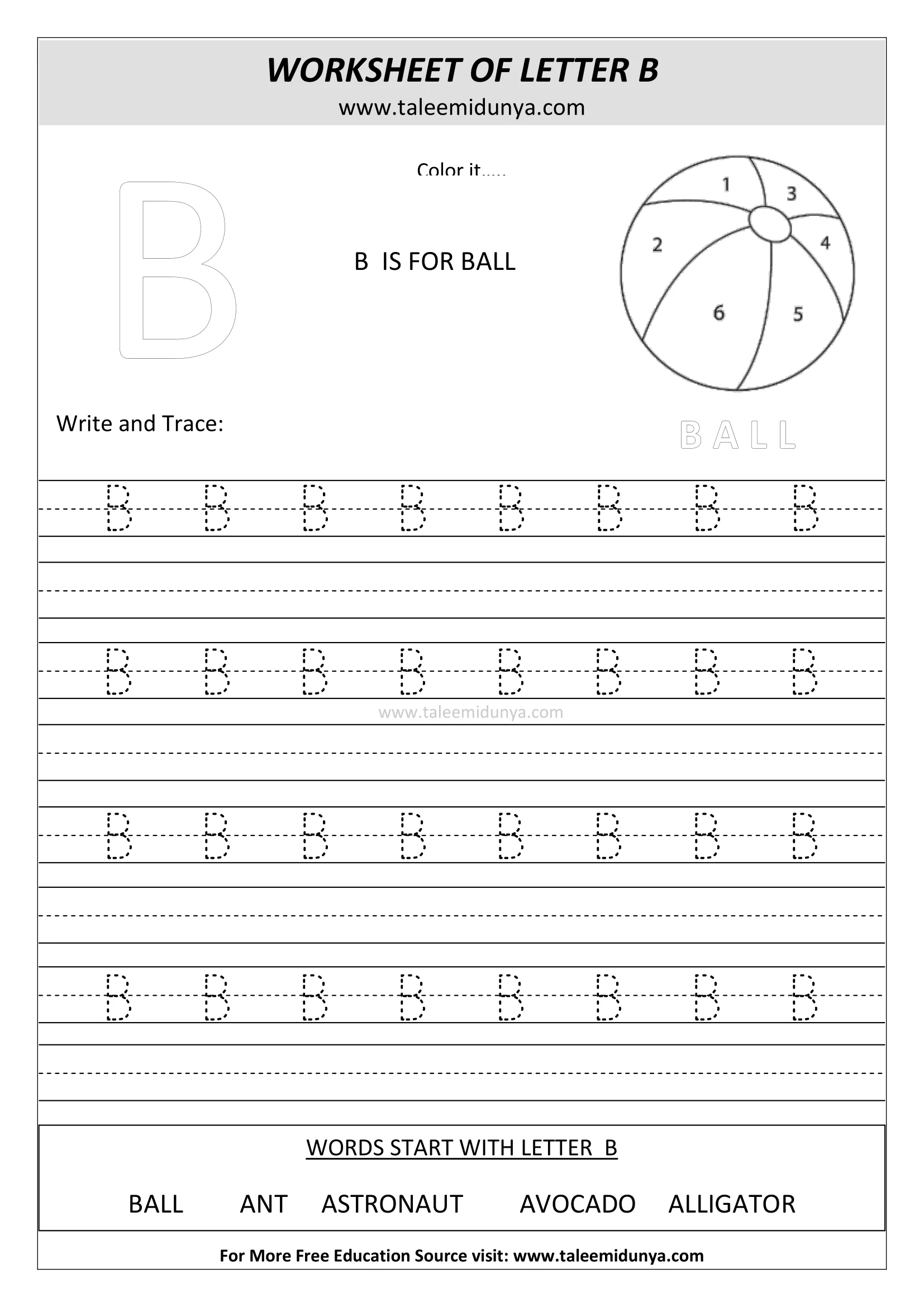 worksheet B